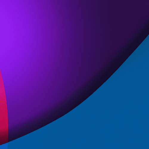 Why French Translation Services Matter in International Politics