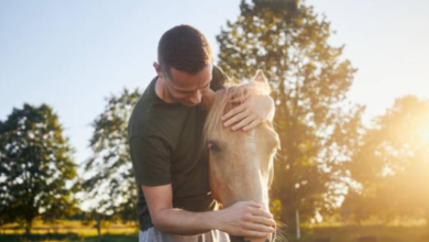 Horses in Modern Therapy