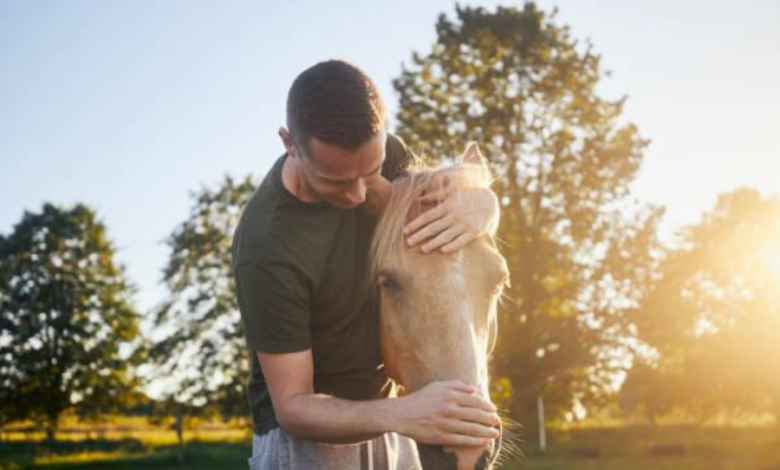 Horses in Modern Therapy