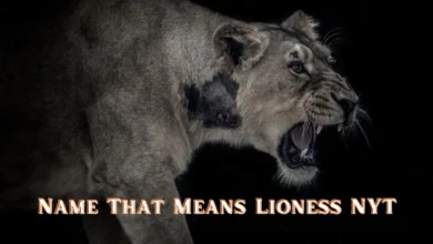 Name That Means Lioness Nyt