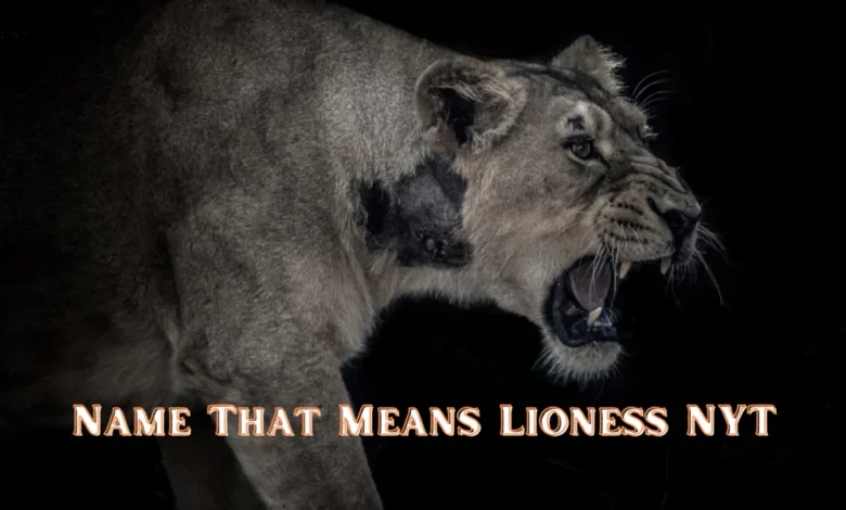 Name That Means Lioness Nyt